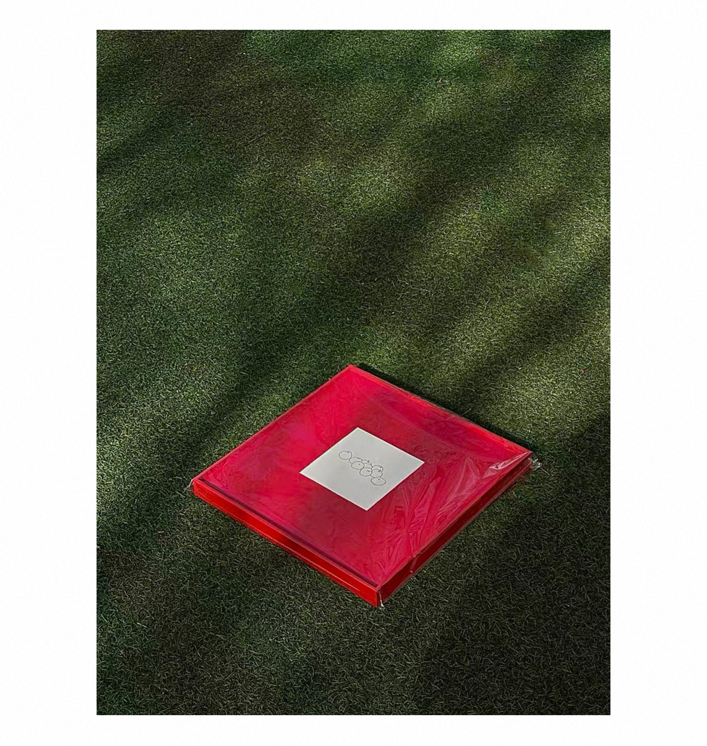 Minimalist Red Wall Art with Fruit Line Drawing, Square Canvas 50x50cm, Bold Modern Statement Artwork with Frame