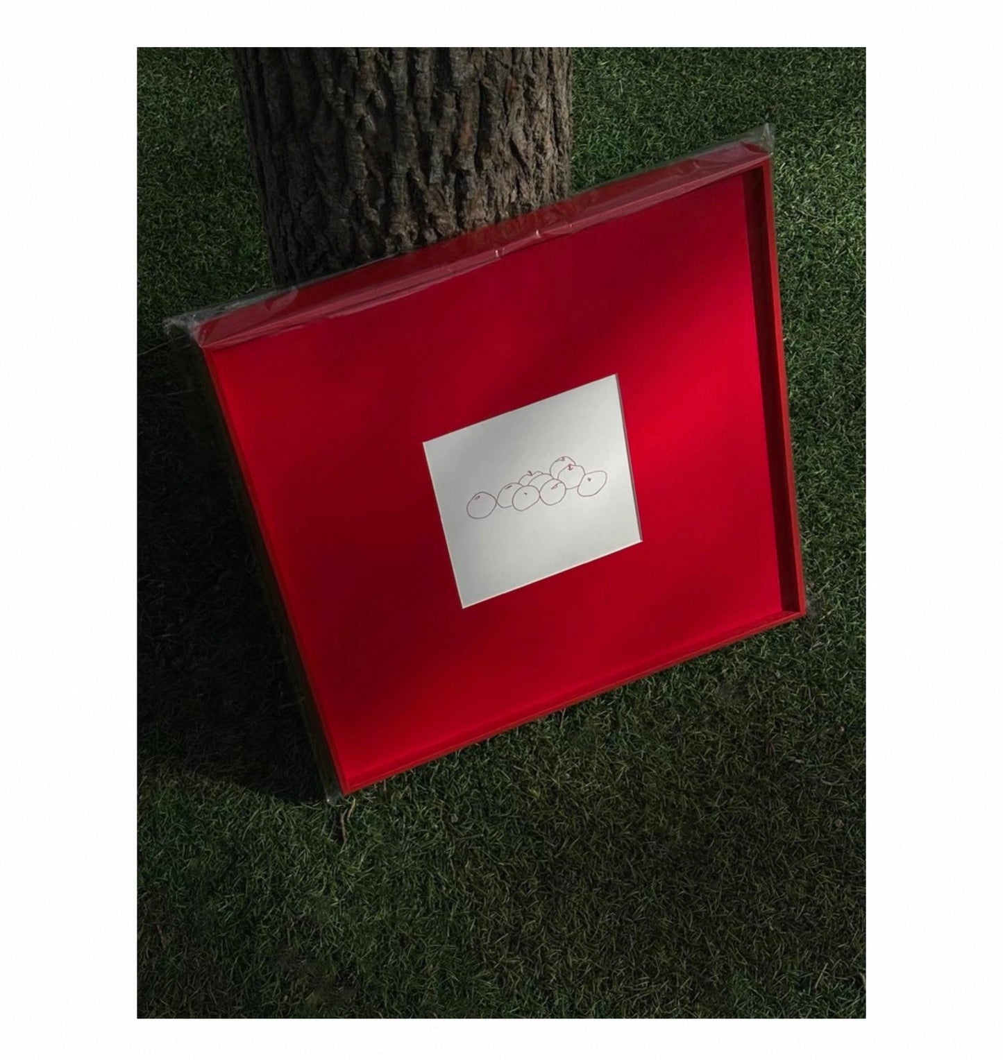 Minimalist Red Wall Art with Fruit Line Drawing, Square Canvas 50x50cm, Bold Modern Statement Artwork with Frame