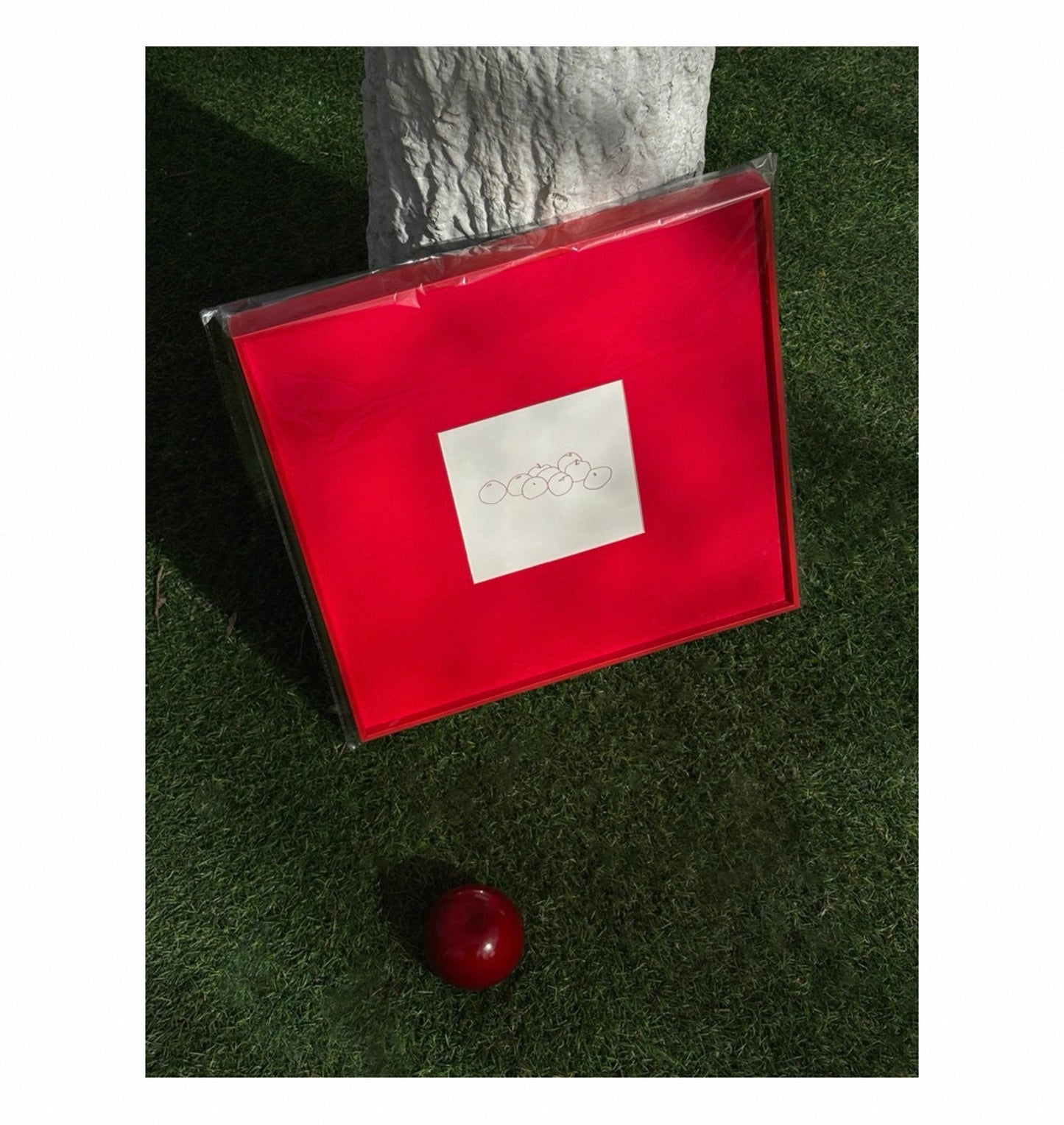 Minimalist Red Wall Art with Fruit Line Drawing, Square Canvas 50x50cm, Bold Modern Statement Artwork with Frame